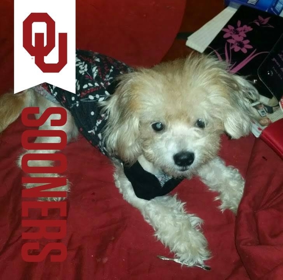 soonergirl32